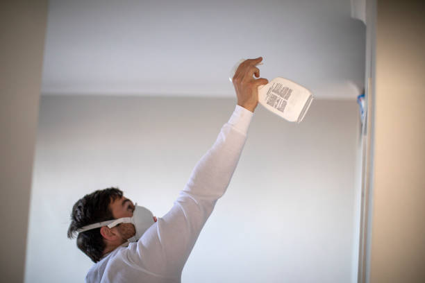 Professional Mold Remediation in Green Valley, MD
